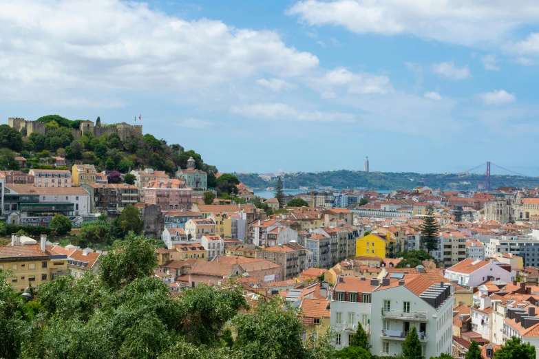 a city with lots of trees surrounding it