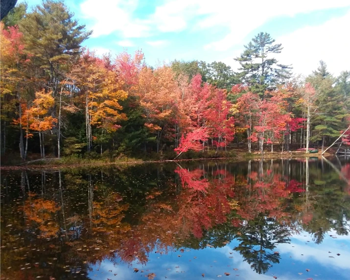 autumn trees line the water and their reflection