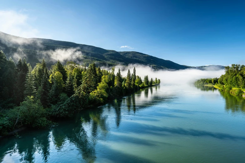 river next to forested hillside with trees and fog in background