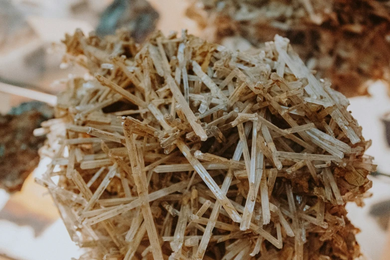 a cluster of small sticks that are covered in dirt