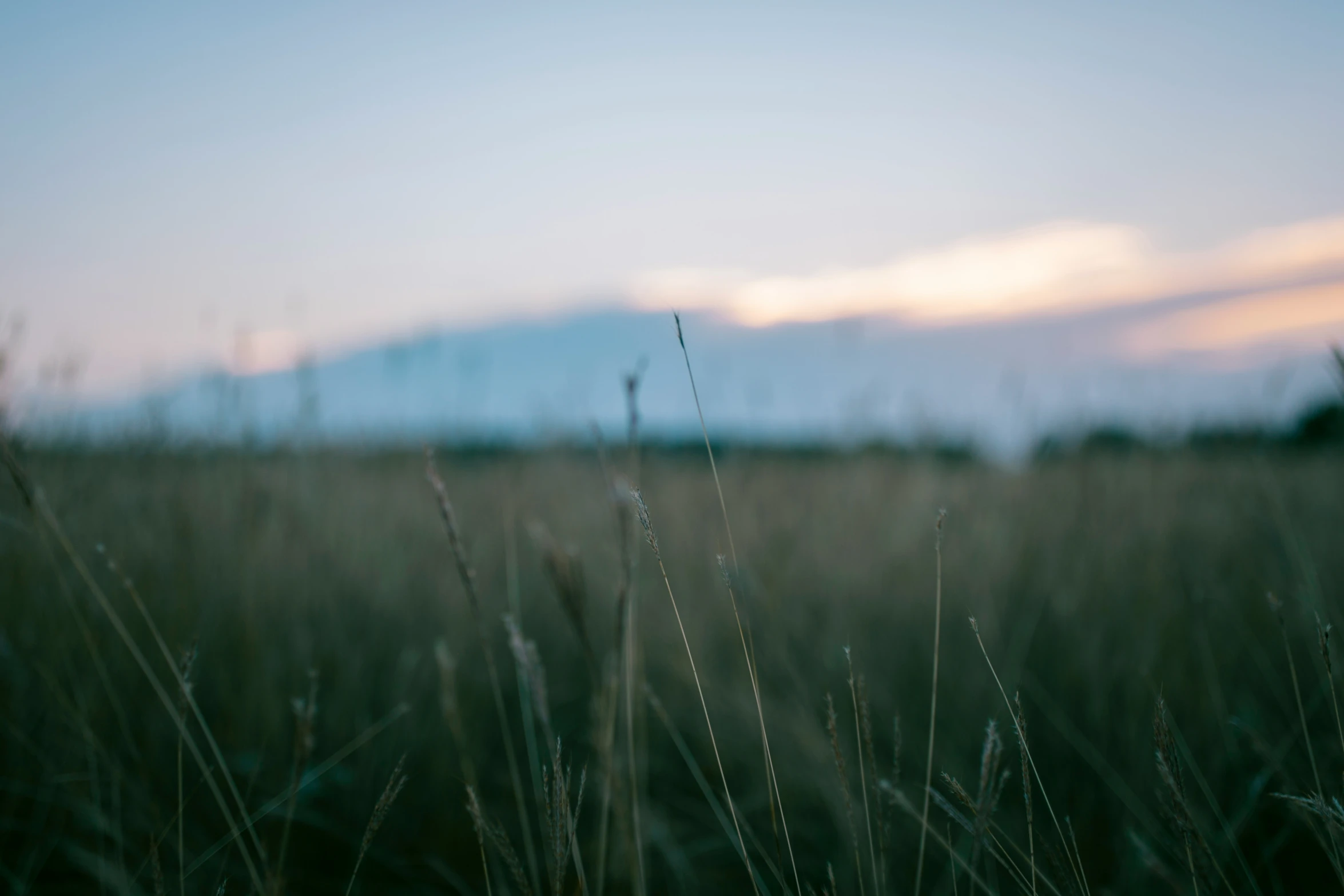 green grass with hills in the distance with sunlight coming down