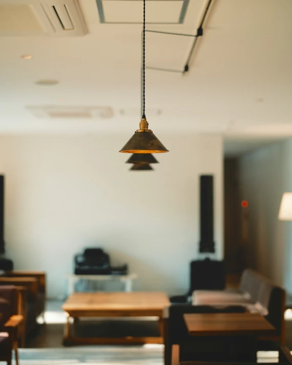 the small chandelier lights above the table in the living room