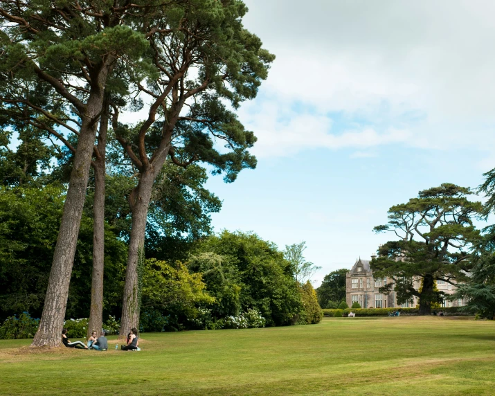 some people sitting on benches on a grass field