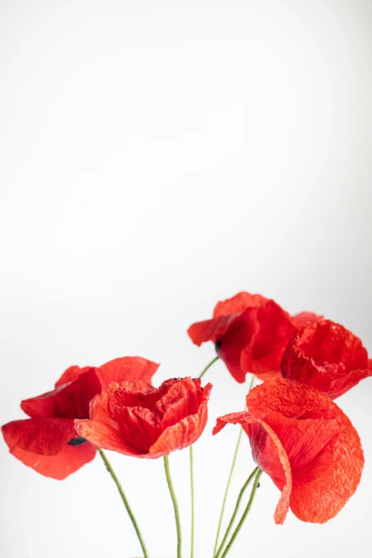 three red flowers in a glass vase filled with water