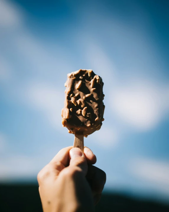 a hand holding a popsicle covered in dark chocolate