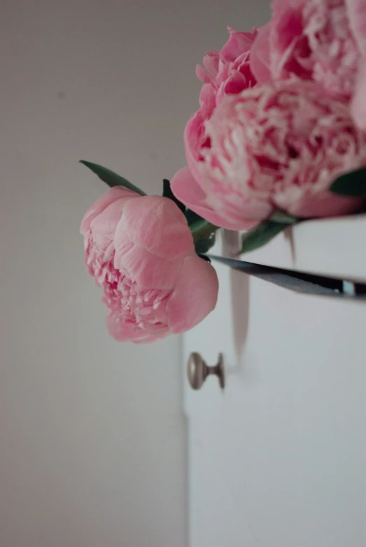 pink flowers sitting on top of a metal door handle