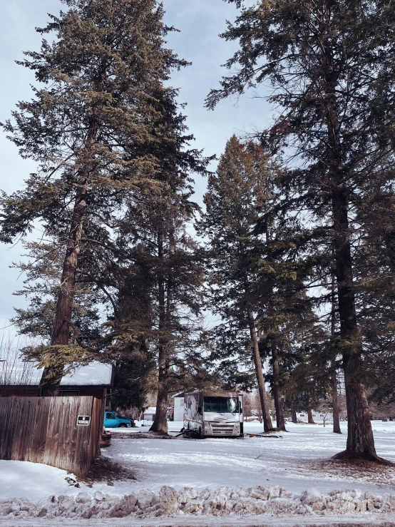 several cars parked in front of trees covered with snow