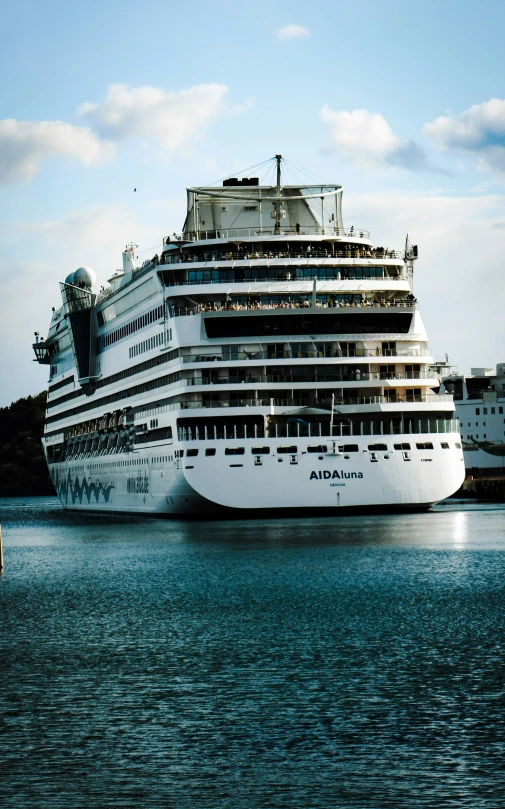 large cruise ship docked next to several other large ships