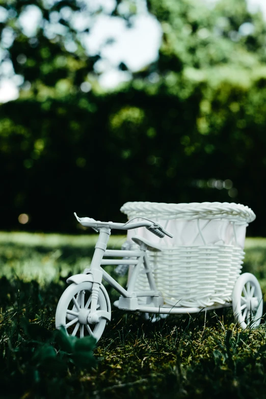 a basket with handlebars is parked in the grass