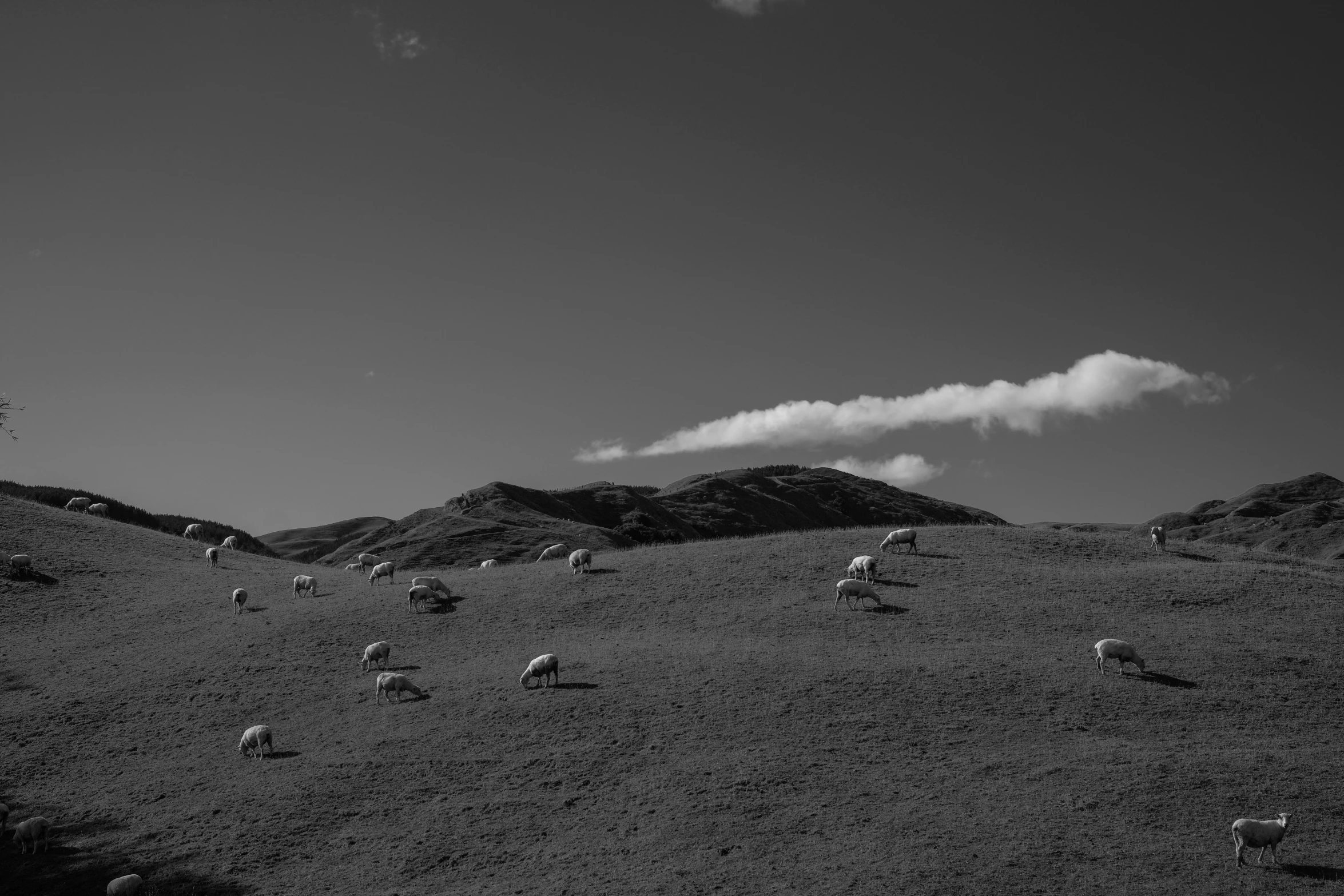 a mountain range covered in sheep on top of a hill