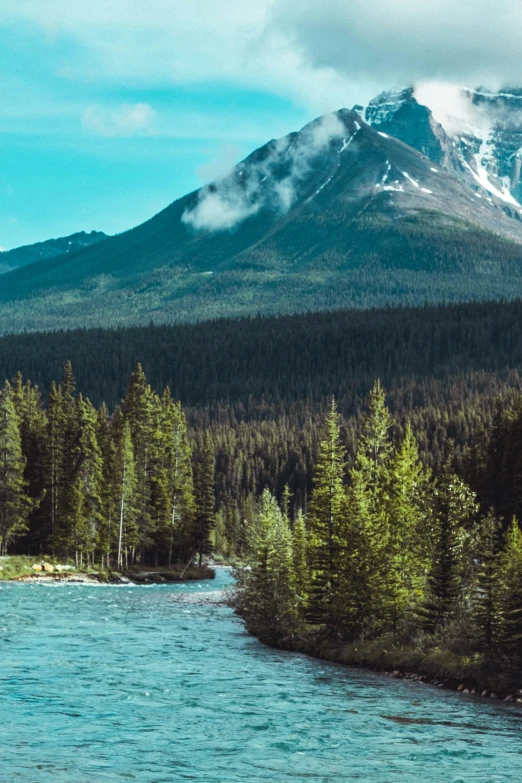 a river running through a forested area next to a mountain