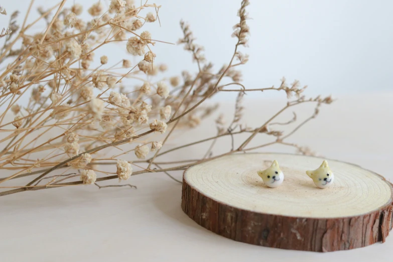 small tiny white birds sitting on a piece of wood