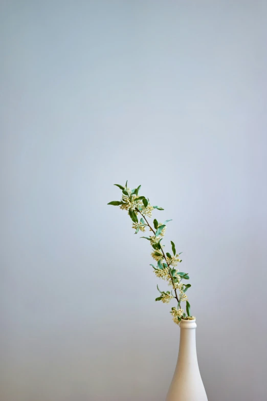 a small white vase holding a bunch of flowers