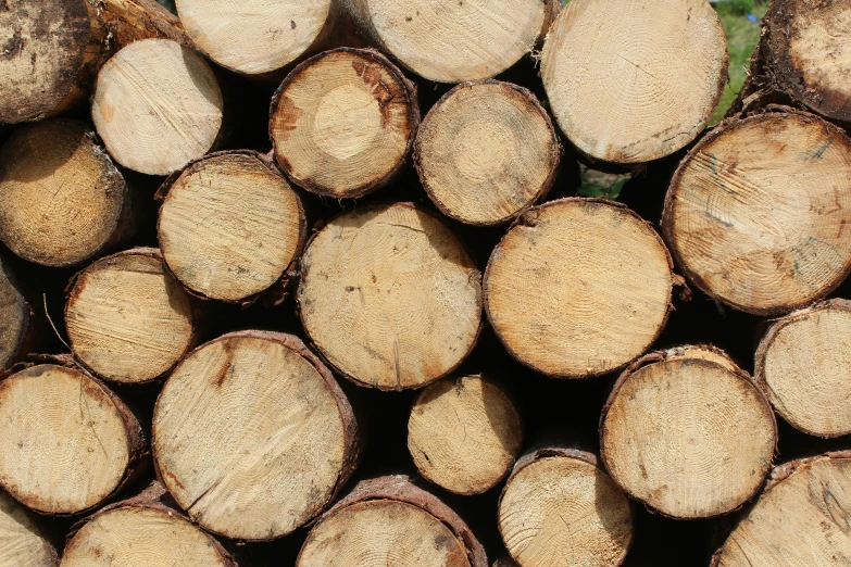 a pile of wood with several logs stacked together