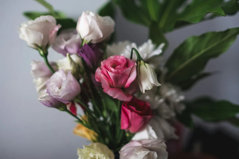 this is a bunch of flowers that are in a vase