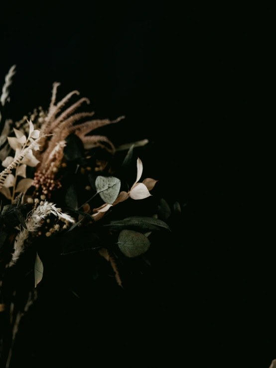 a bunch of dead flowers with a dark background