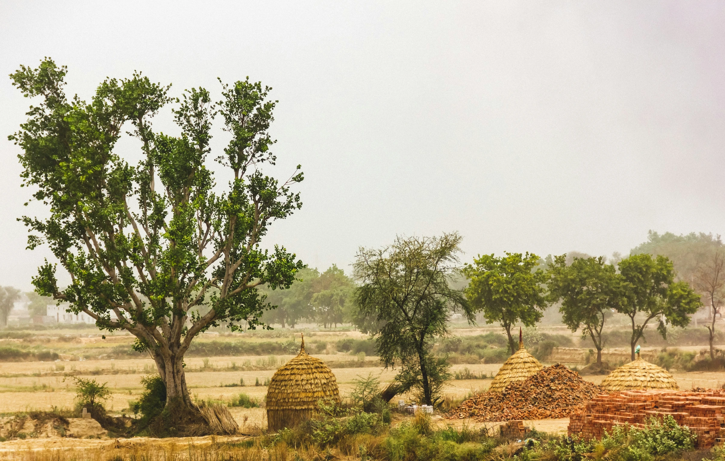 people are standing in a field with straw structures