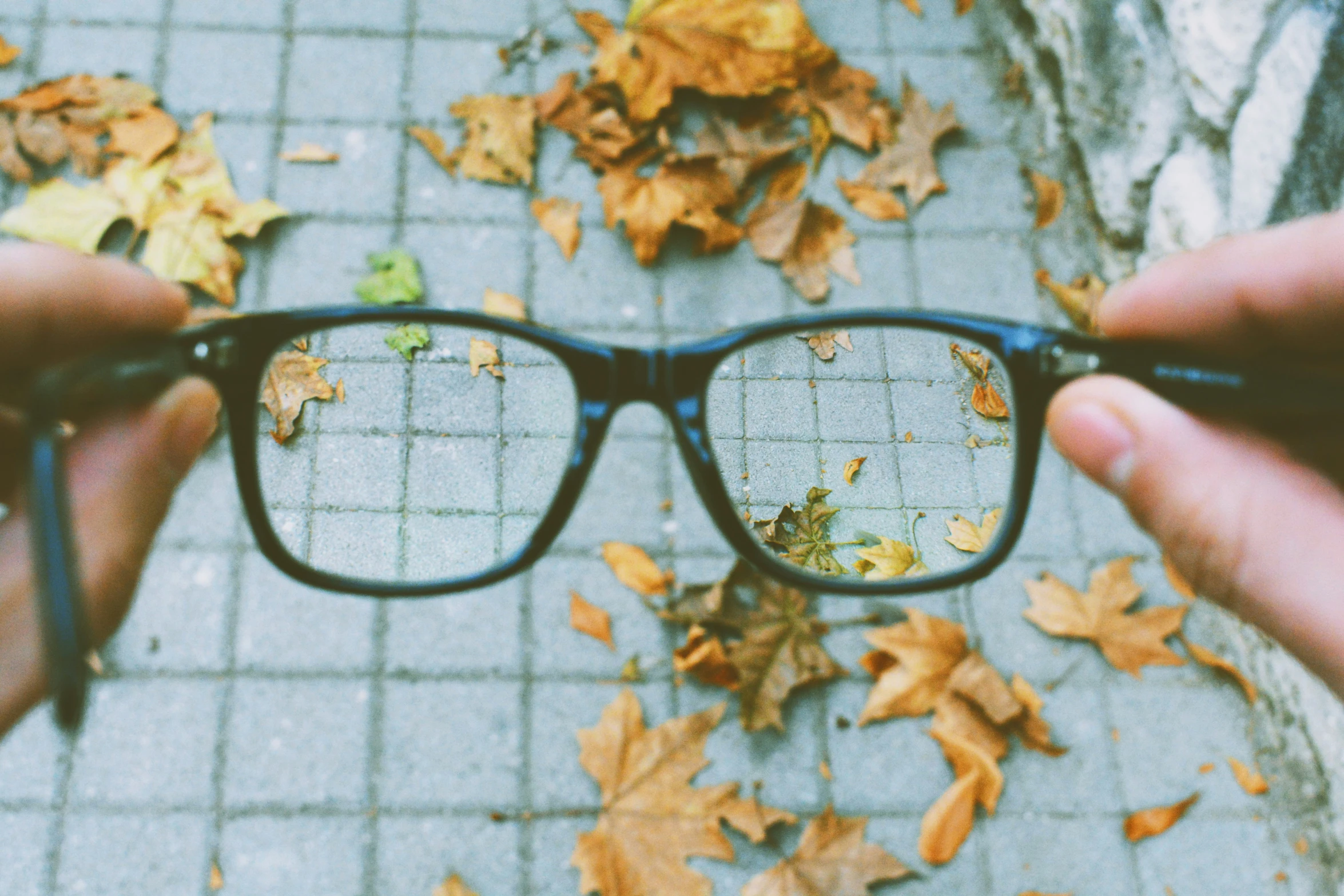 a person holds on to some glasses near leaves