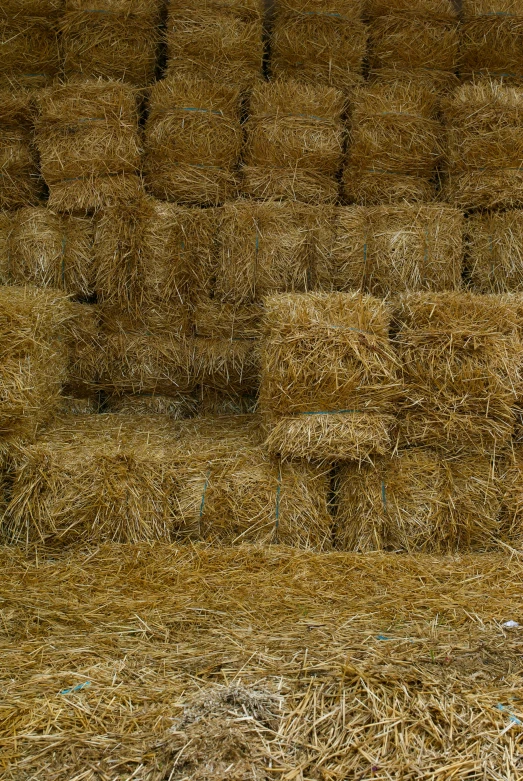 the horse is eating from a pile of hay