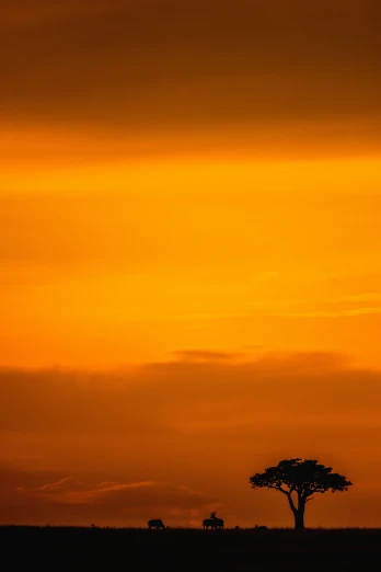 a tree sitting next to an orange sky
