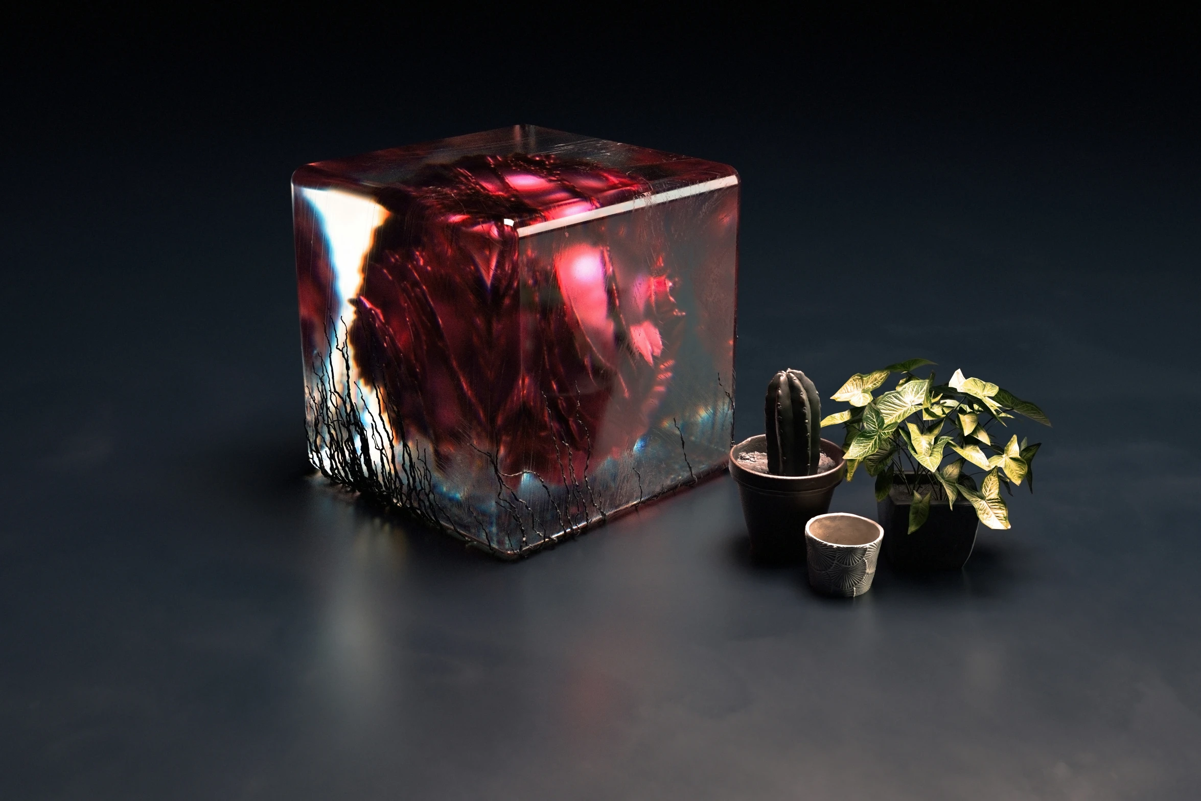 an empty glass box sitting next to a potted plant