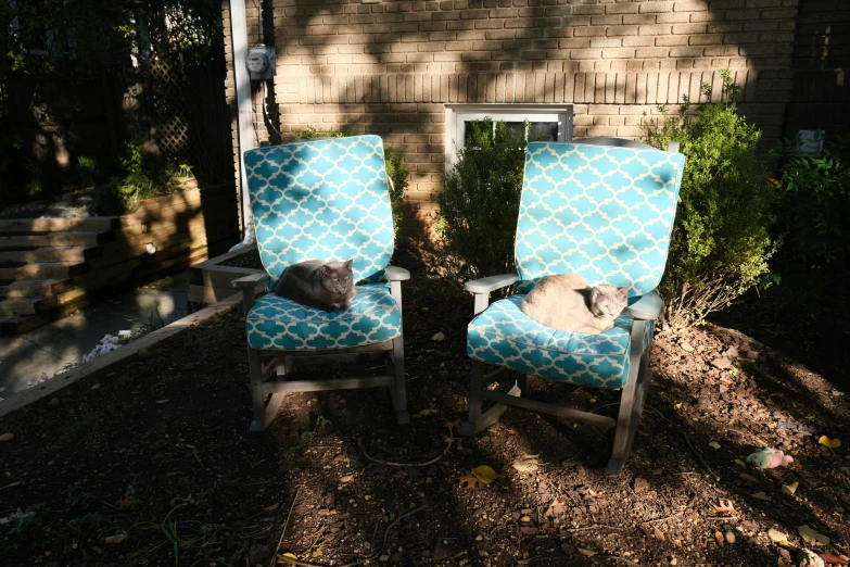 two chairs with cats in them sit outside