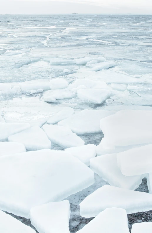 icebergs float around near some icy waters