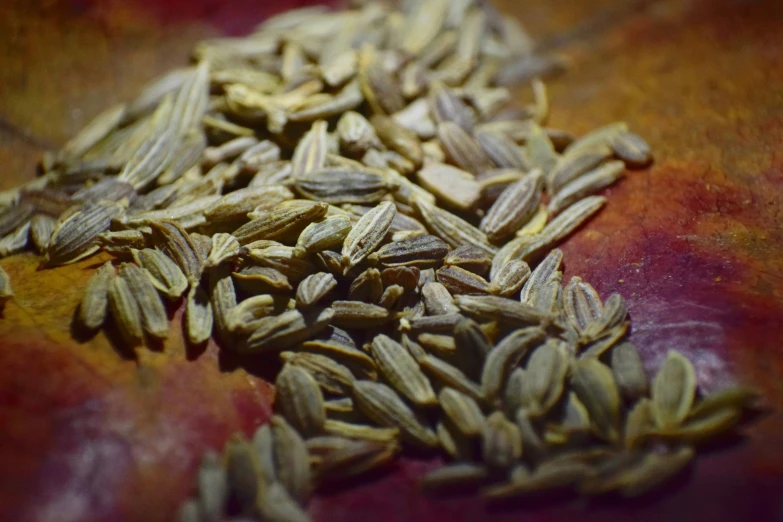 many seeds in one image, including oats and sunflowers