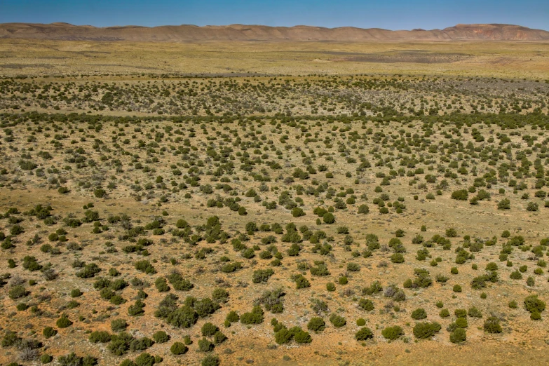 an image of an empty landscape with trees