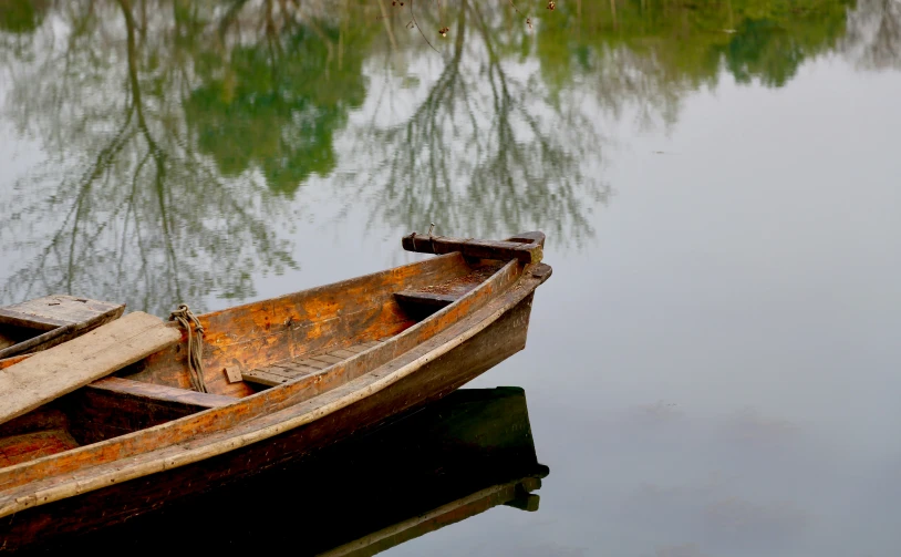 small boat in body of water next to trees