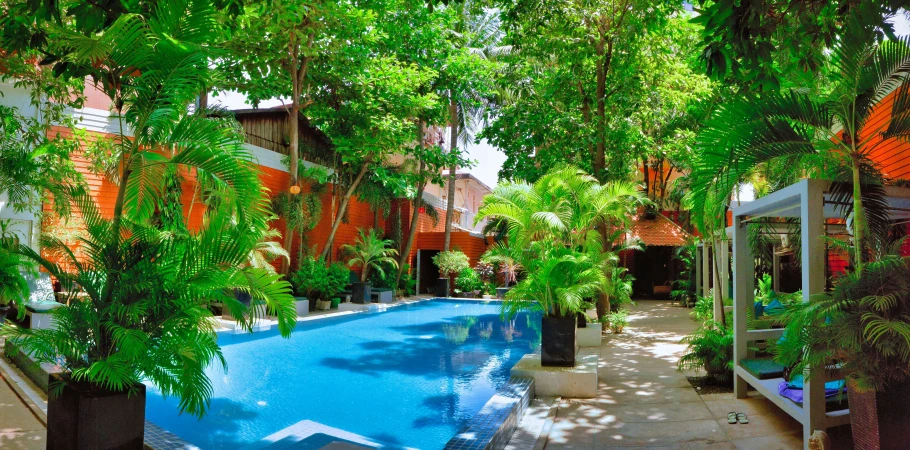 a pool area of a home with a tree and a long row of houses