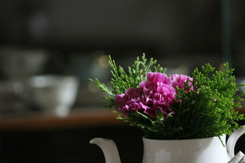 purple flowers in a white tea pot