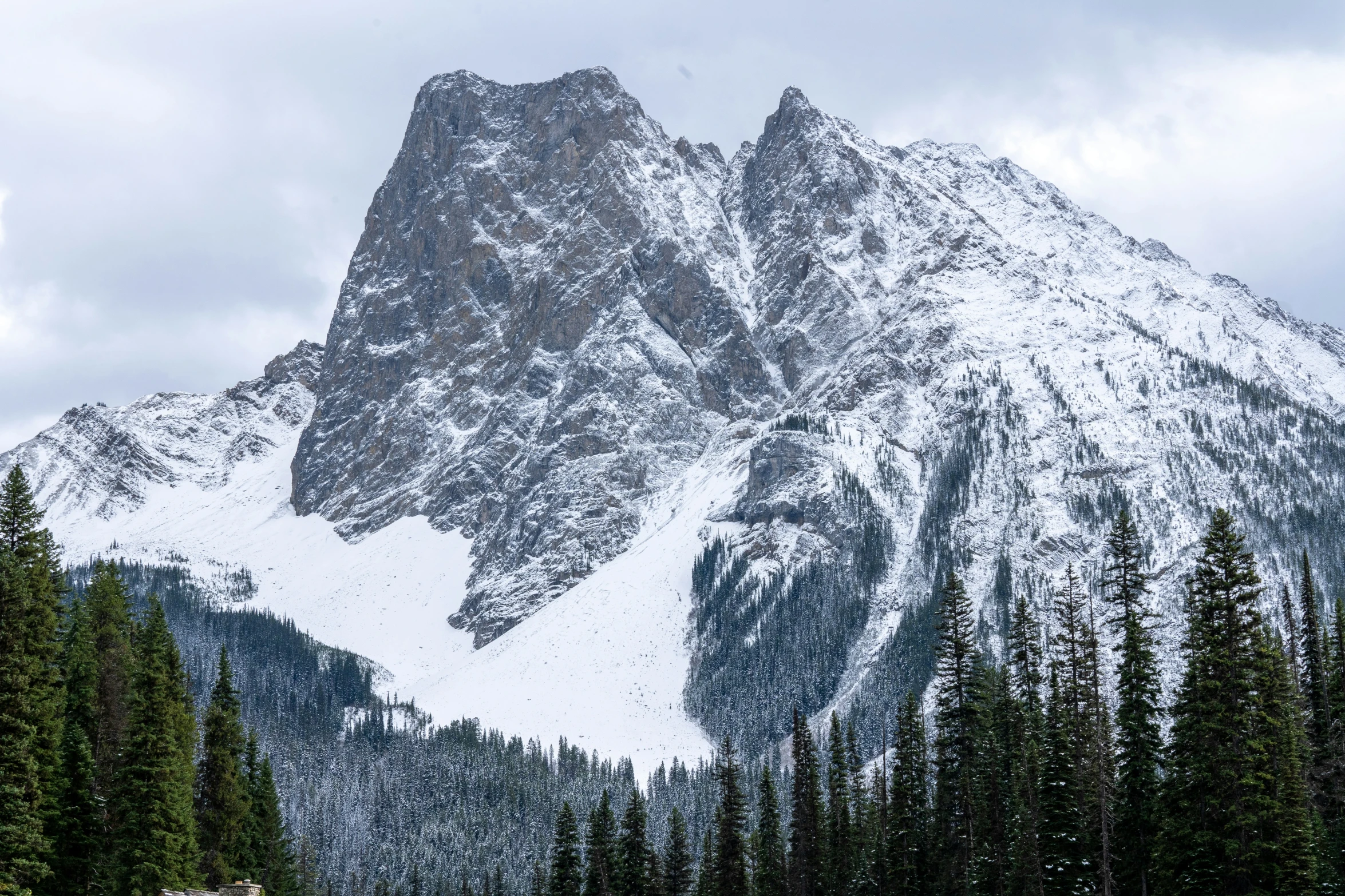 a snow covered mountain range next to evergreen trees