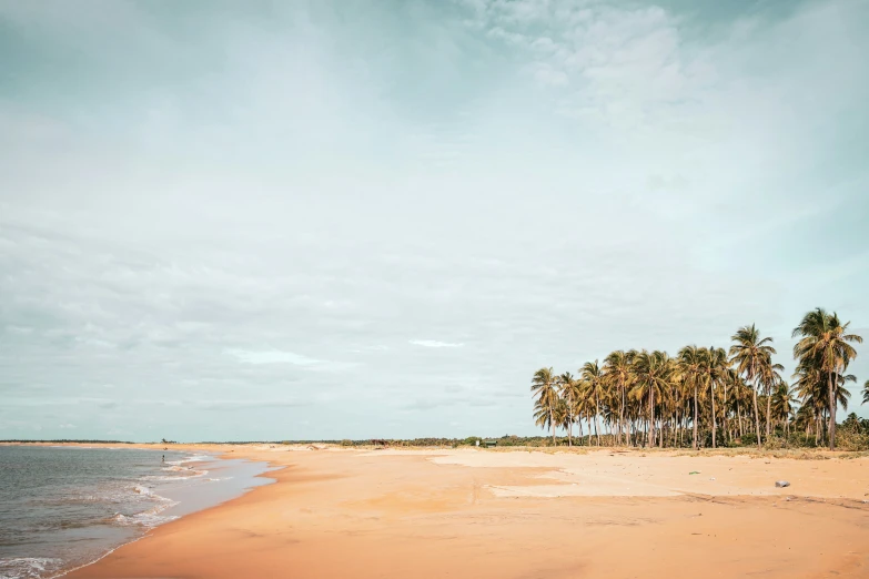 a sandy beach surrounded by tall palm trees