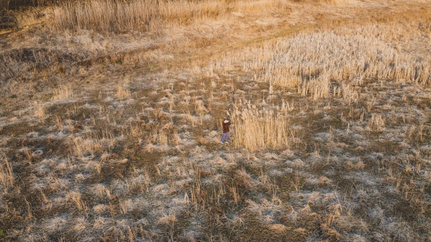 an aerial view of a field with grasses and an airplane