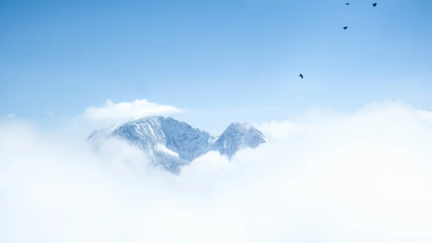 the birds are flying high above the clouds