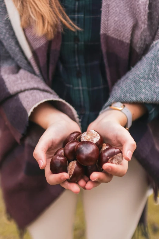 the person holds the chestnuts in their hands