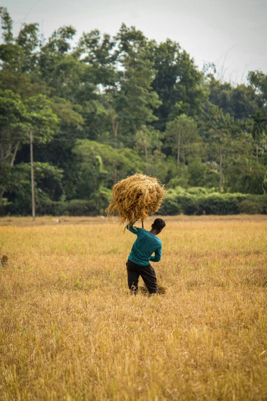 a man carries a large bundle of hay across an open field