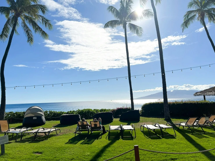 the green grass on the beach is full of lounge chairs