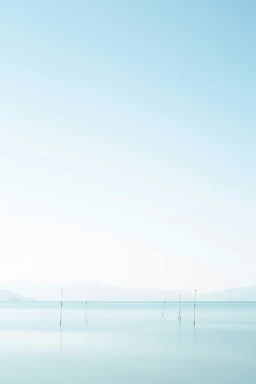 several poles in water with mountains in the background