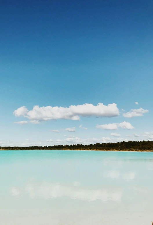 a calm blue ocean sitting next to some trees