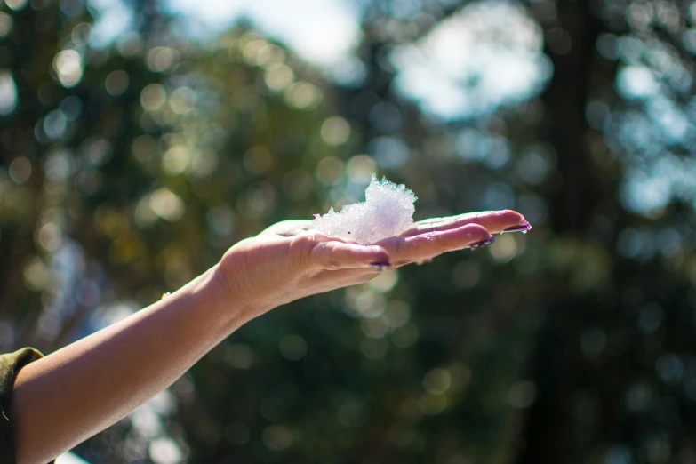 the hand is holding a white flower against some trees