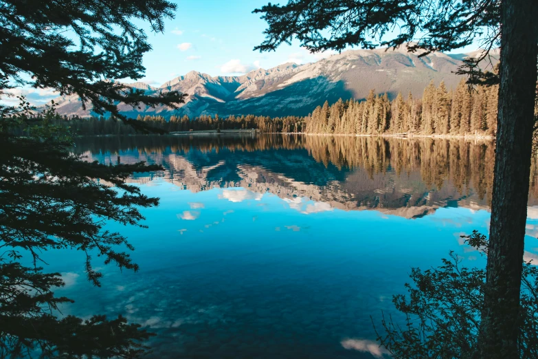 a large body of water surrounded by trees