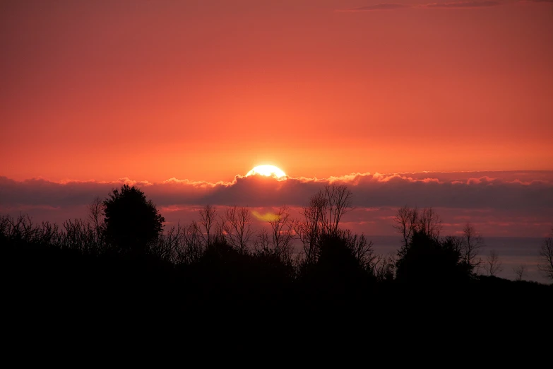 the setting sun shining in the distance over the trees