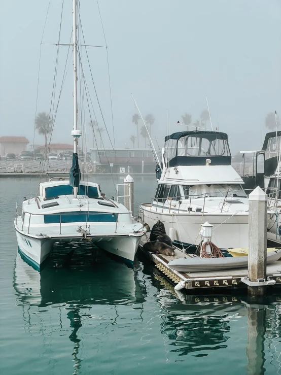 some white boats docked at a pier in the water