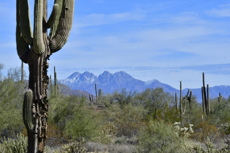 a desert landscape with mountains in the background