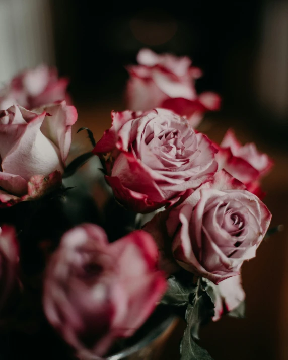 an image of many pink roses in the vase