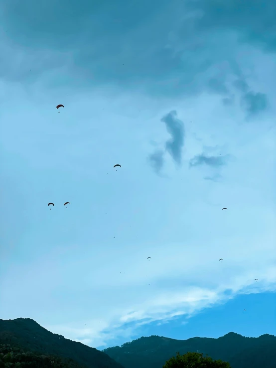 many birds are flying in the sky on a cloudy day