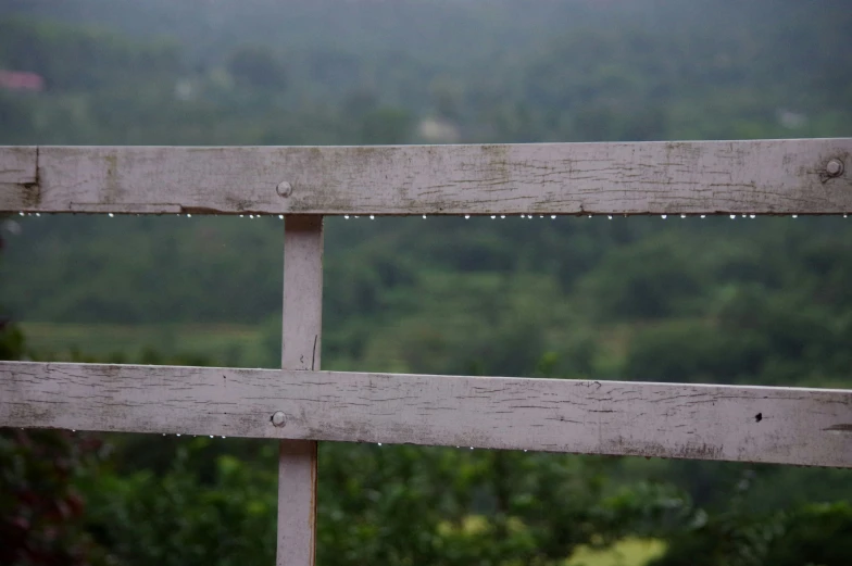 raindrops are falling off of the tops of the posts
