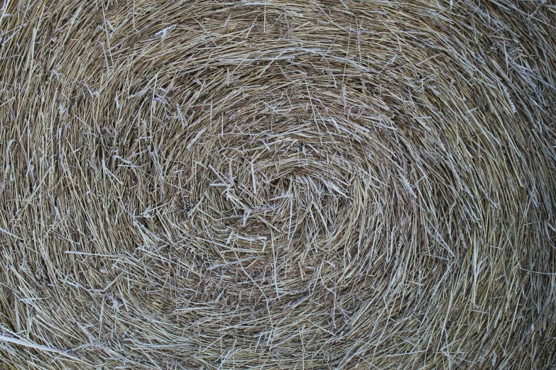 the image shows a pattern made with hay